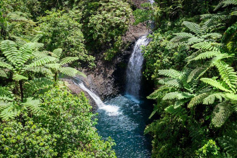 garden-island-taveuni.jpg