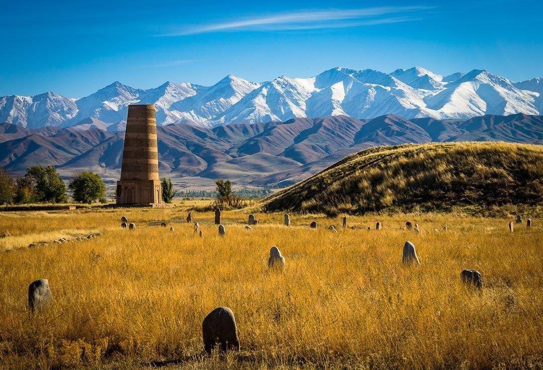 A group of animals in a field with mountains in the background  Description automatically generated with medium confidence