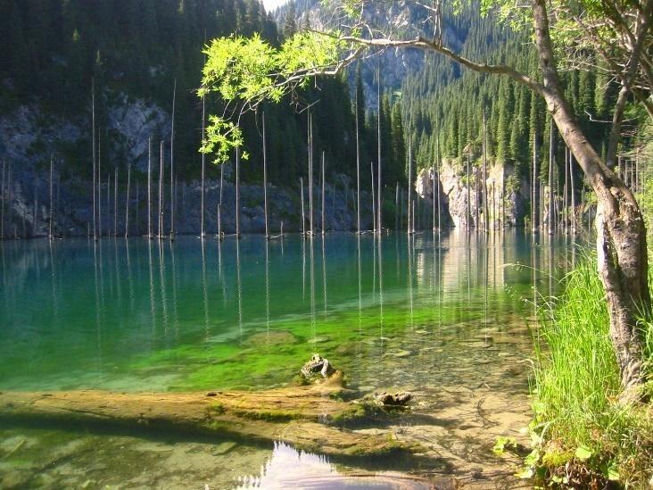 5 Facts About Lake Kaindy, Kazakhstan's Stunning Sunken Forest
