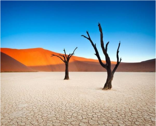 image-226.png