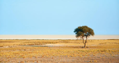 image-230.png