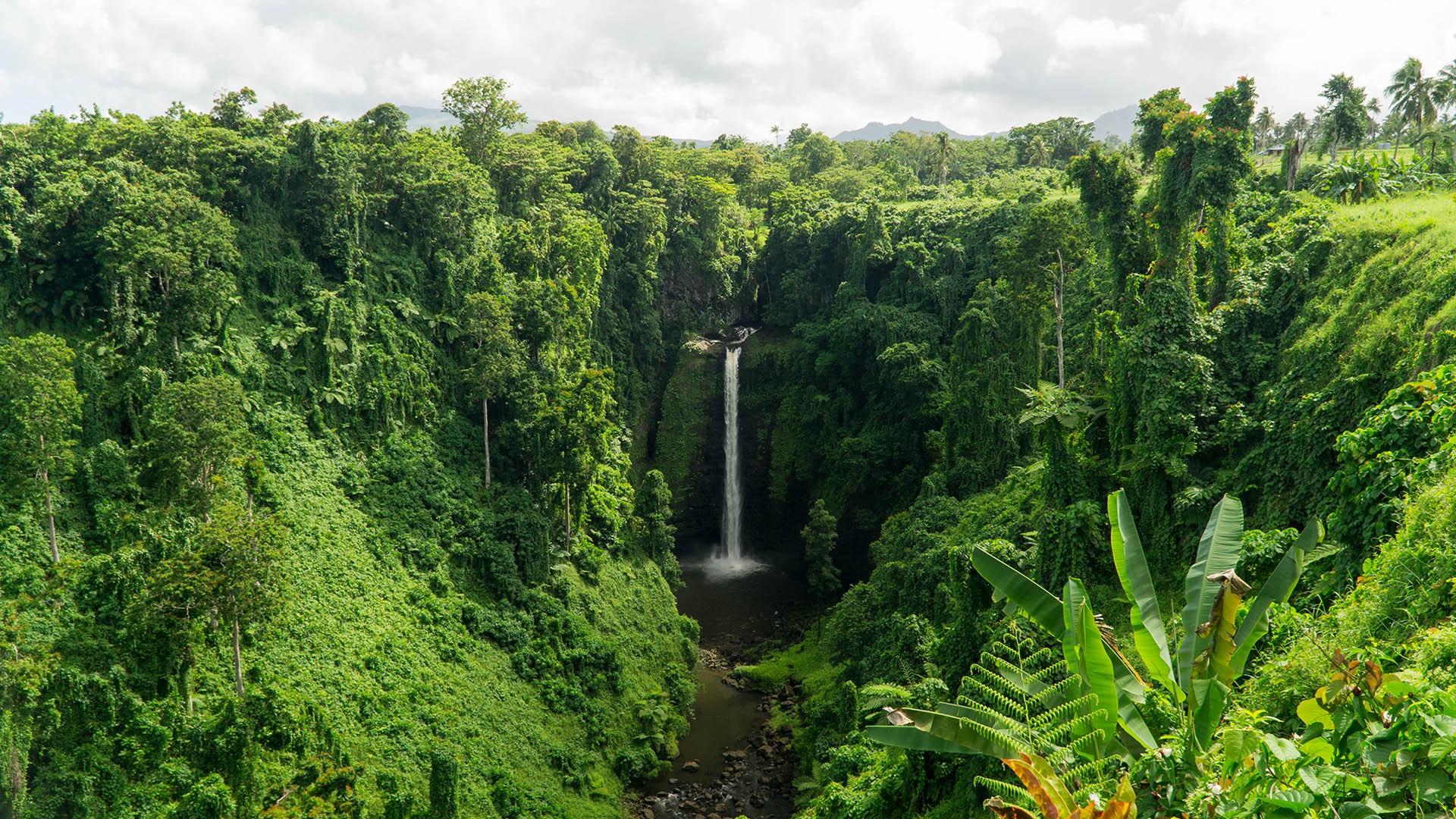Breathtaking Sopoaga falls in Samoan paradise, Samoa | Windows Spotlight  Images