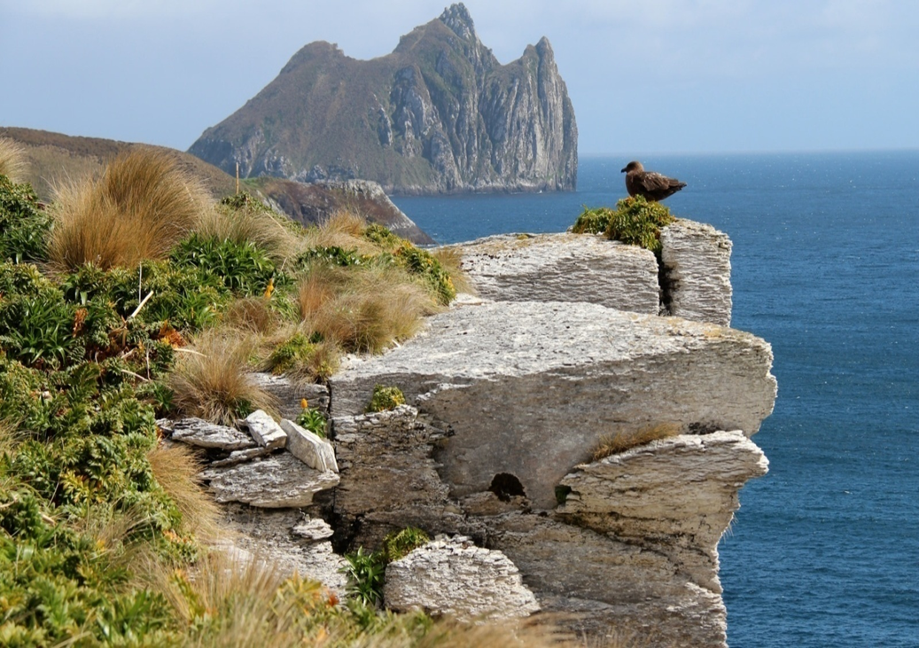 image-823.png