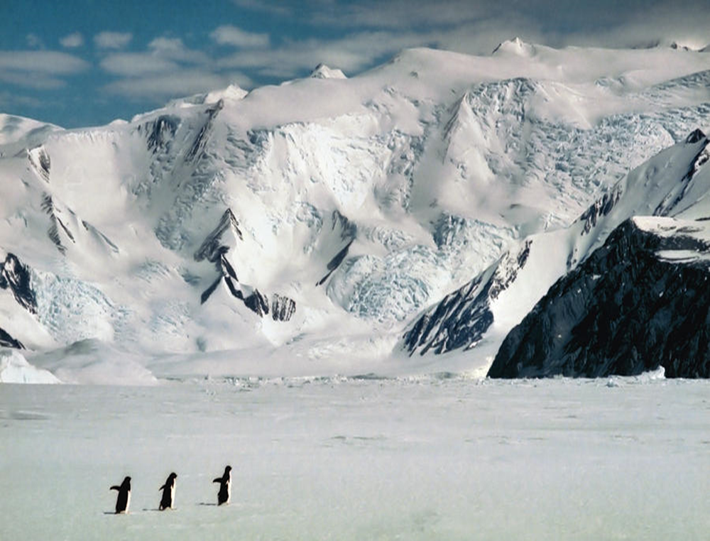 image-827.png