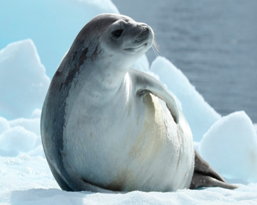 image-870.png