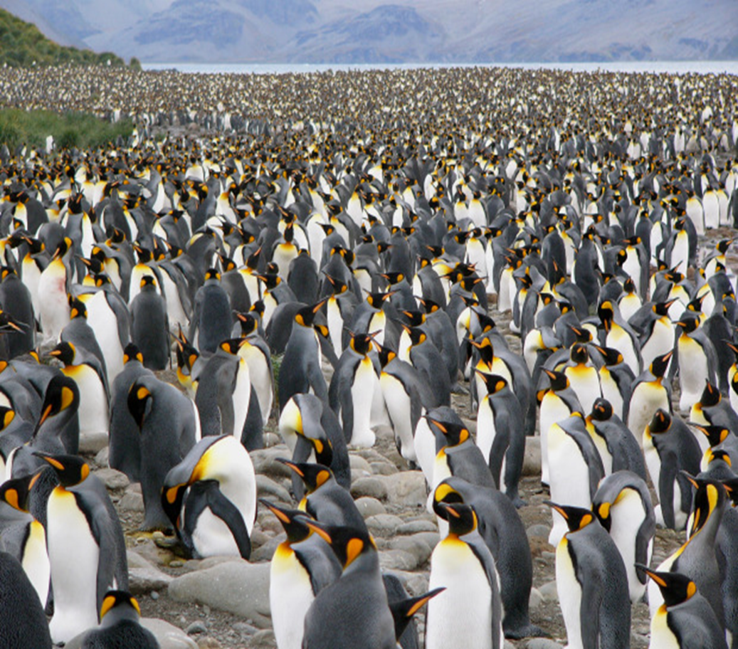 image-885.png