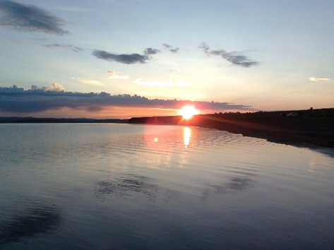 image-975.png