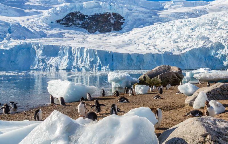 king-george-antarctica.jpg