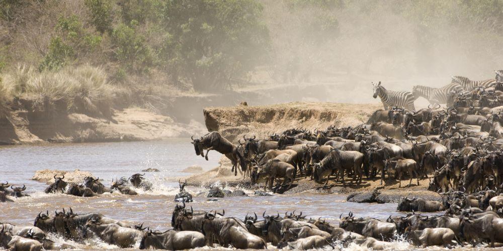 masai-mara-national-reserve.jpg