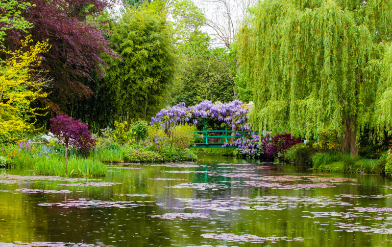 monets-garden.png
