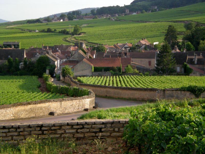 pommard.jpg