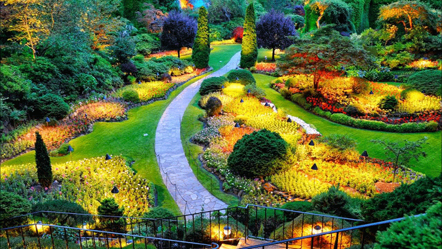 royal-botanical-gardens-in-peradeniya.gif