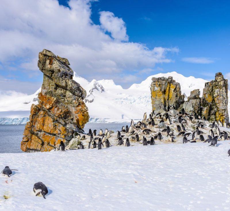 south-shetland-islands.jpg