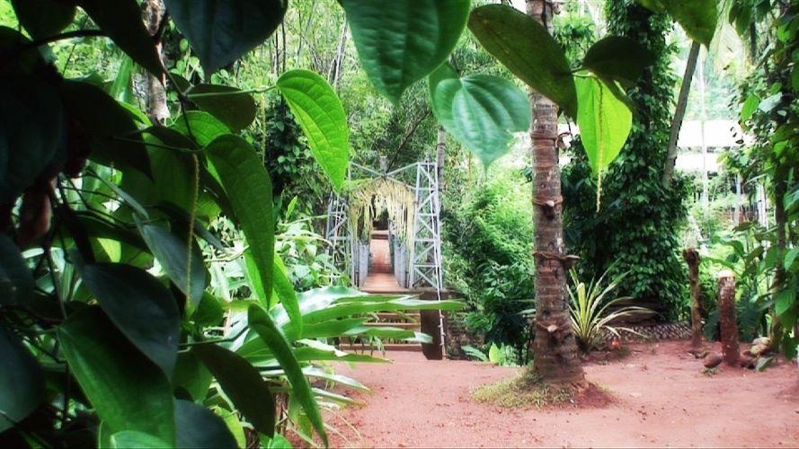 spice-garden.jpg