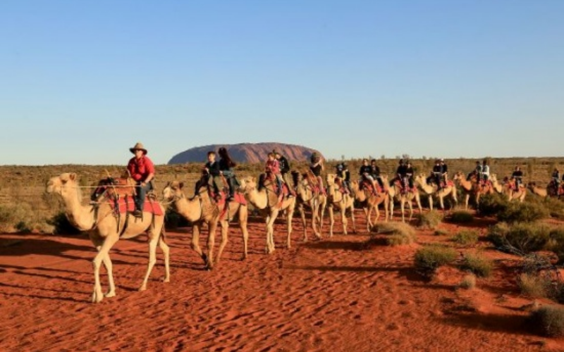 Thiết kế chưa có tên (2)-2