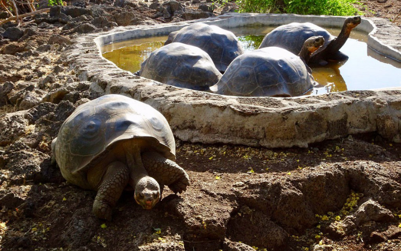 Thiết kế chưa có tên (2)-3