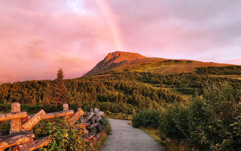 Thiết kế chưa có tên (3)-5