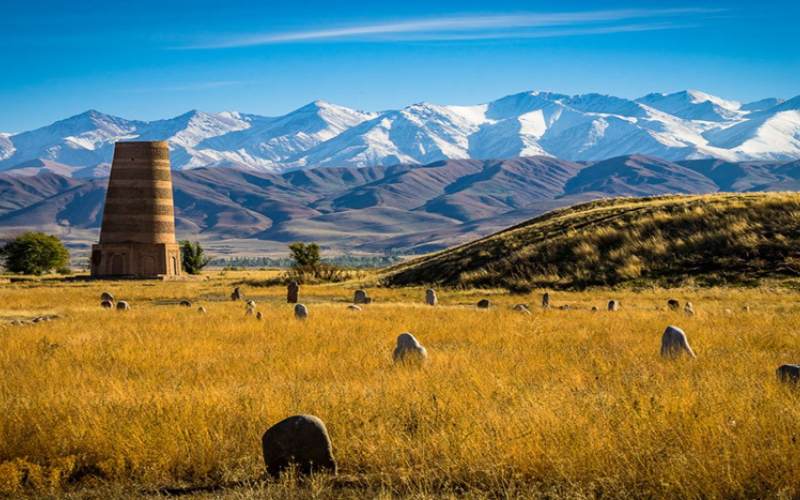 Thiết kế chưa có tên (4)-2