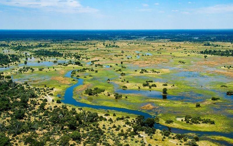 thung-lung-okavango.jpg