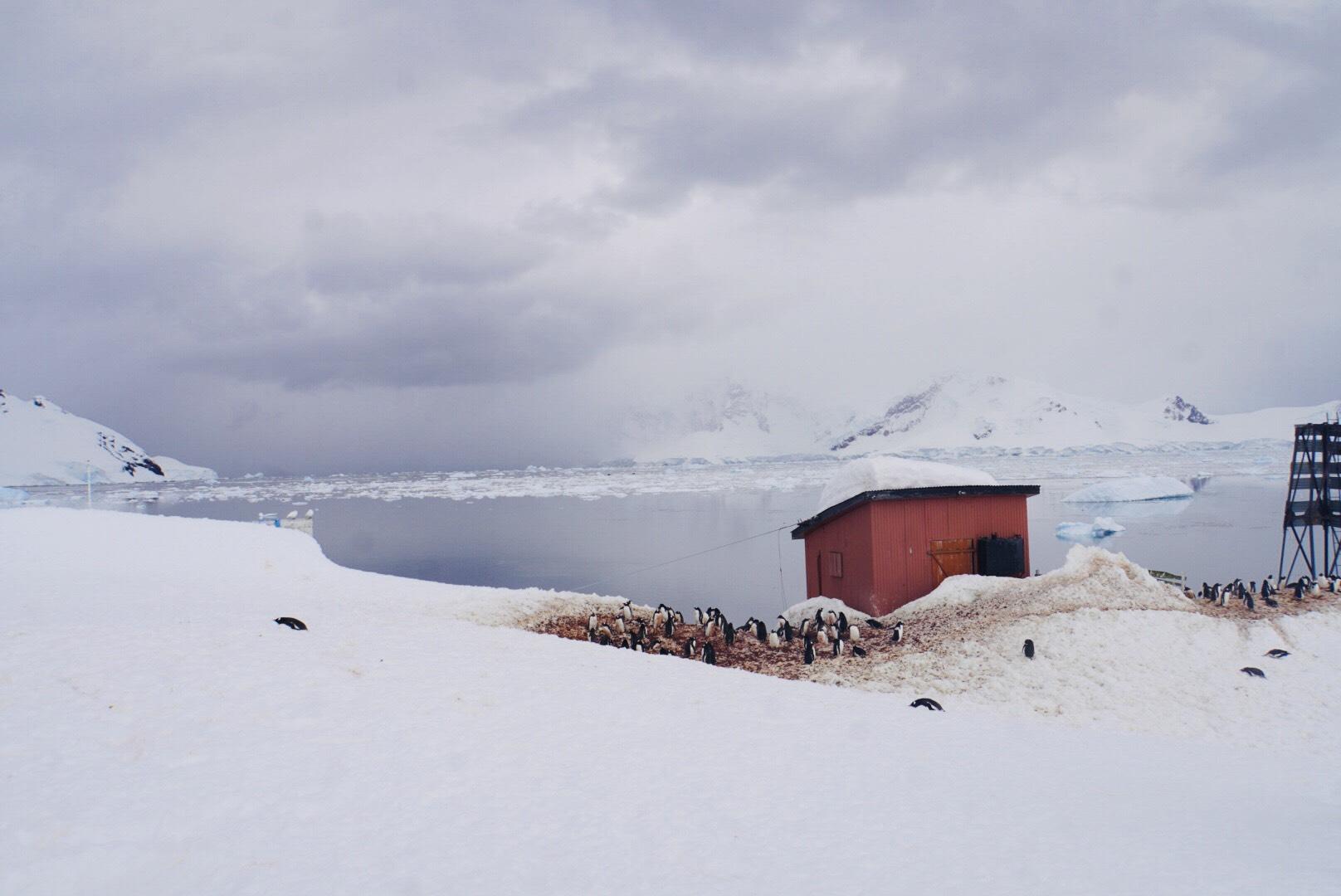 z4011732329917_c361192a200bf4bc141c49e95b85ac54-1