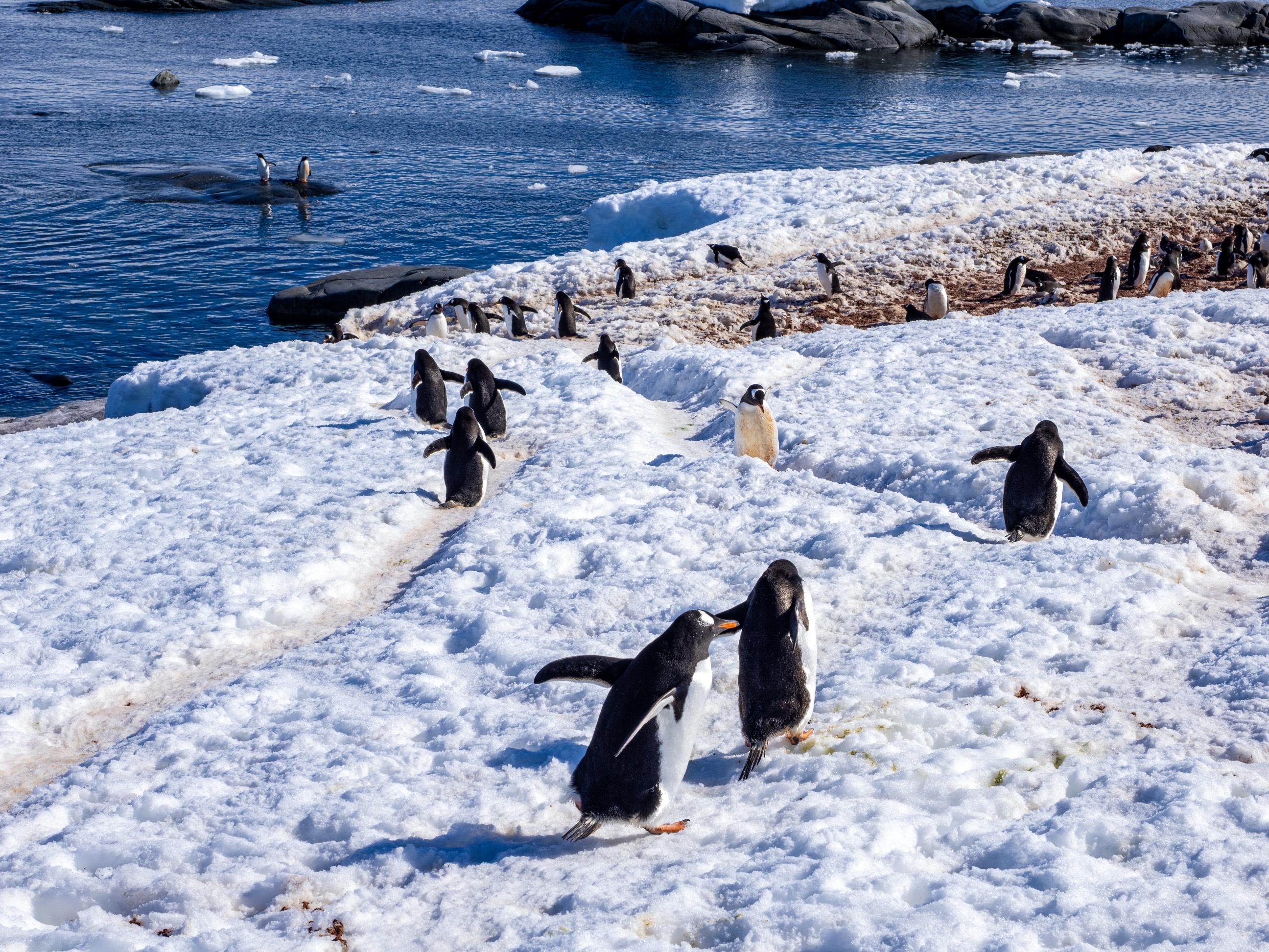 z4026116846954_d5b705caf931b2f4b9f051f26c5949e0