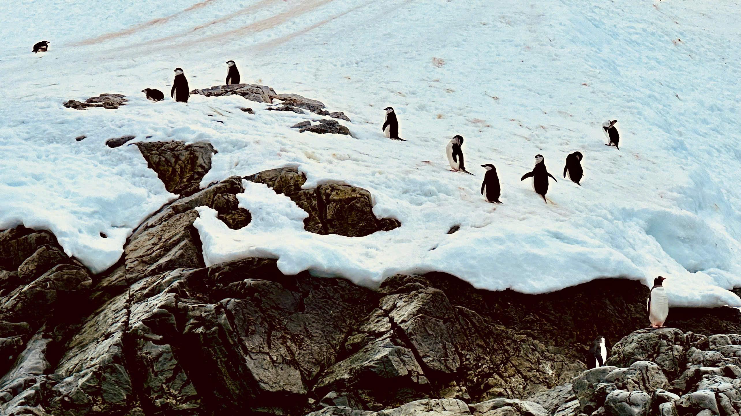 z6110071343742_172c9ecf412ea762bd842538888bf248