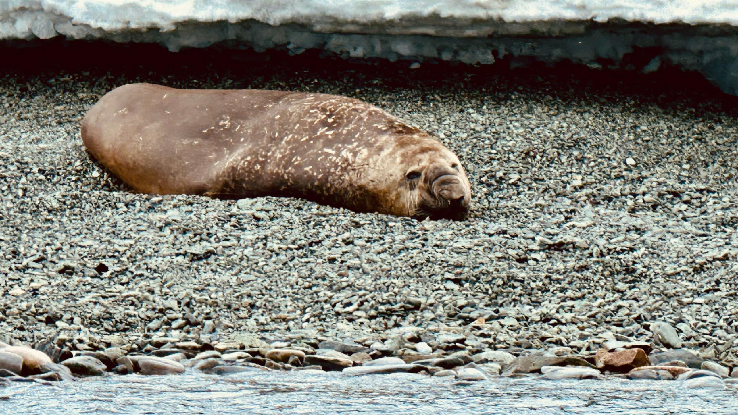 z6110074474147_e2fedd2ca5cd0520c3495cbf3eeada9d